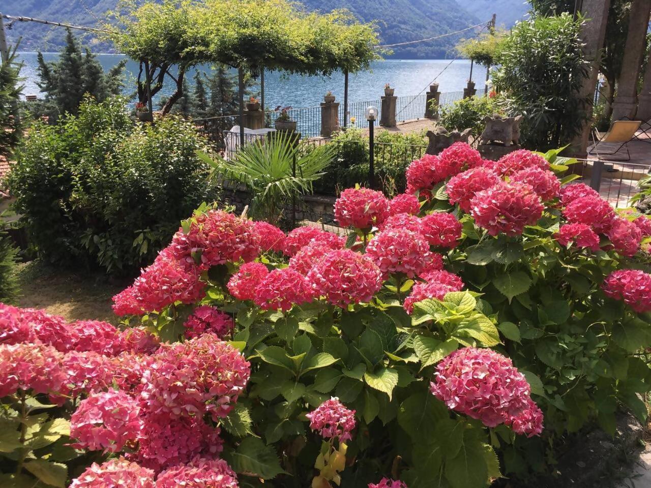 Villa Peroni Honeymoon Cottage Argegno Luaran gambar